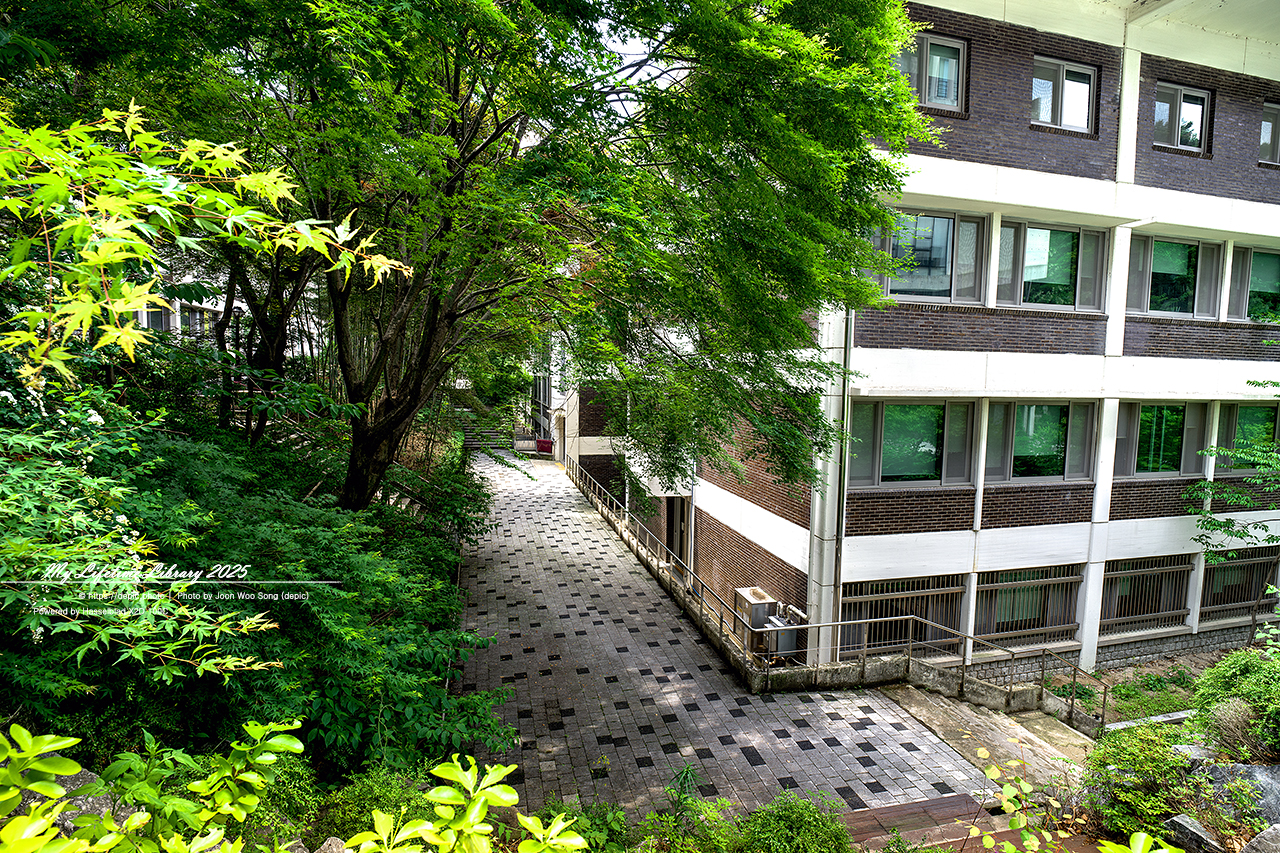 #봄 #캠퍼스 #대학교 #서울대 #서울 #오후 #서울대학교