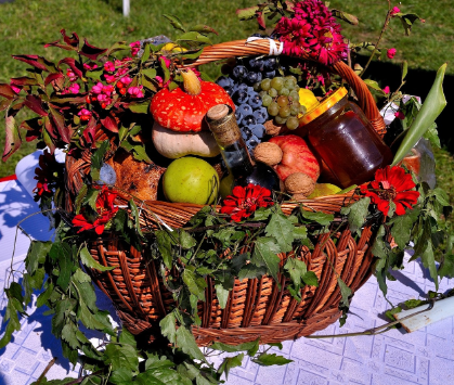 자연스럽고 건강하게, 내 몸의 방어력을 키우는 법
