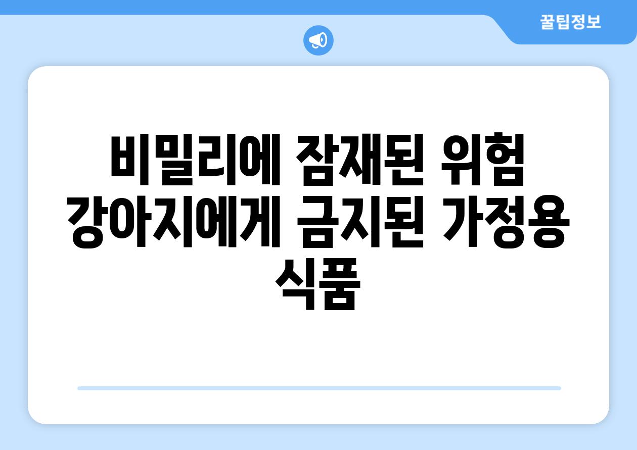 비밀리에 잠재된 위험 강아지에게 금지된 가정용 식품