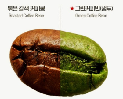 호화탕국 서양 후기 가격 부작용