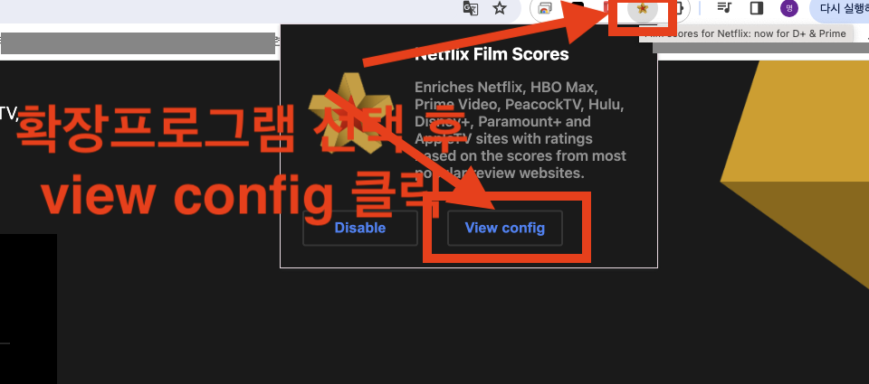 크롬 브라우저 확장프로그램 실행하기