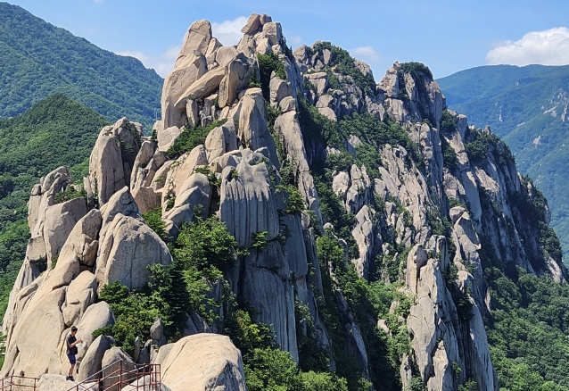 설악산 단풍 절정 시기 시즌 2024, 단풍빵도 꼭 먹고 오세요! (+ 명소 코스 추천)