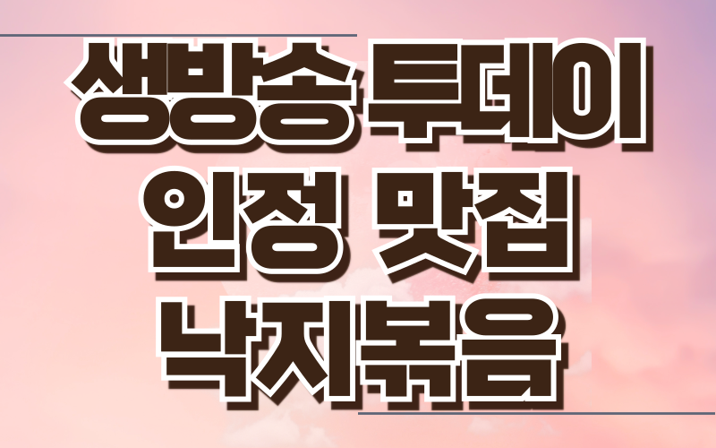 생방송 투데이 인정맛집 낙지볶음