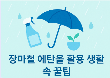 장마철 에탄올 이용 꿀팁