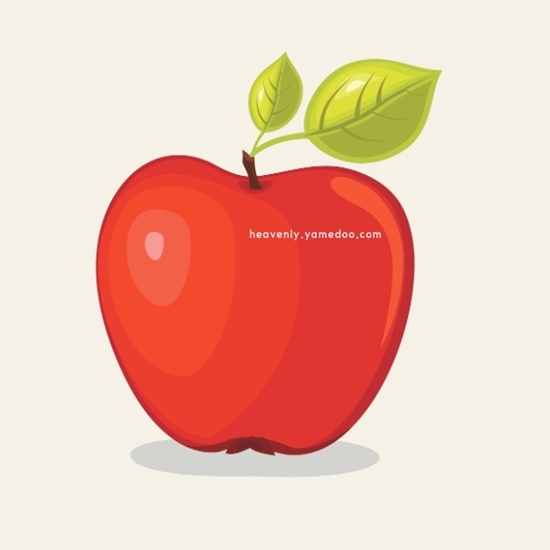 사과 효능