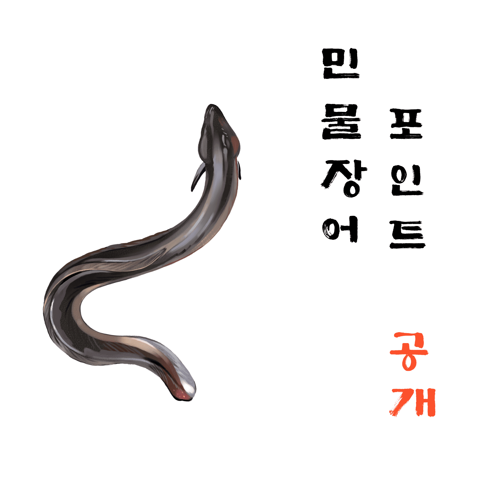 민물장어 포인트 공개