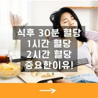 식후 혈당 정상수치를 정리_19