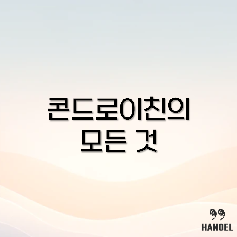 콘드로이친