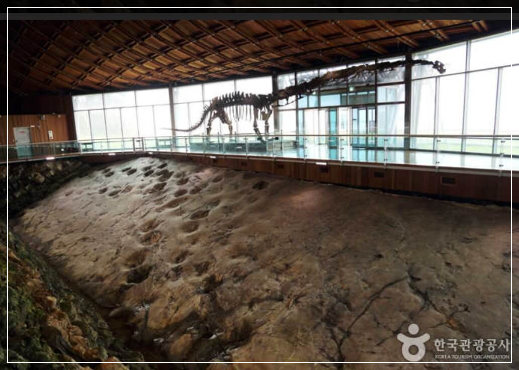 해남 가볼만한곳 베스트10 우항리 해안 공룡화석지