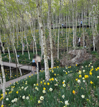 화담숲예약하기