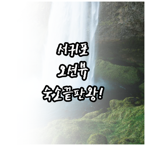 제주 서귀포 호텔 리조트 추천 올레시..