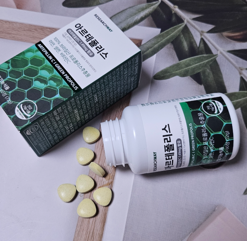 아르테폴리스 실제 사용자 내돈내산 후기