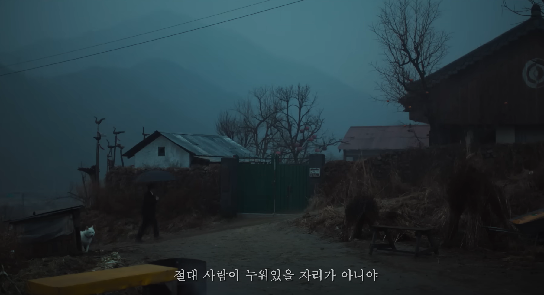 파묘(破墓)