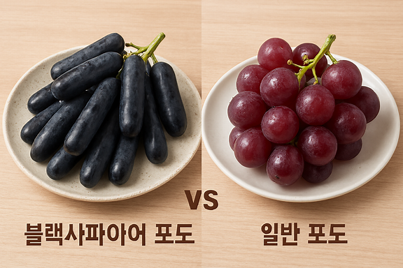 블랙사파이어 포도, 효능과 칼로리, 부작용 완벽 정리 (ft. 일반 포도 비교)