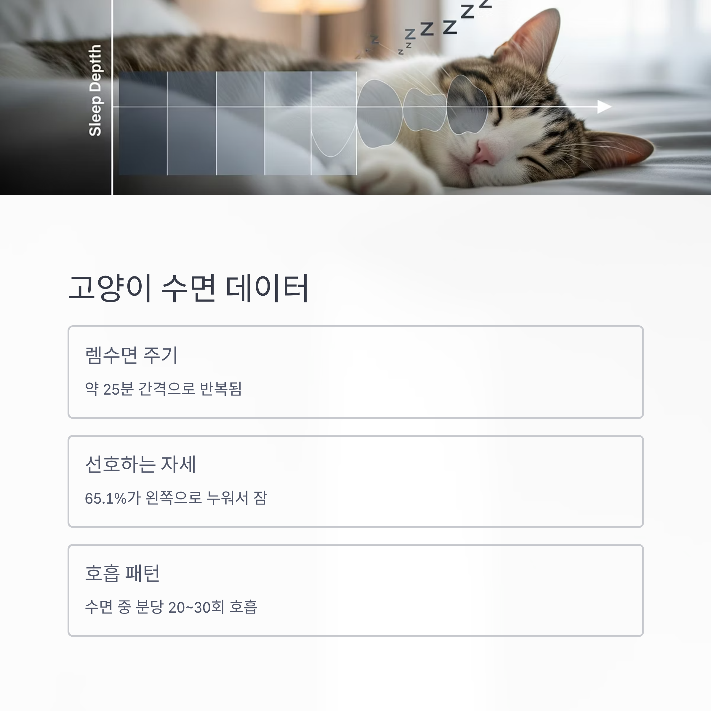 고양이 수면 데이터