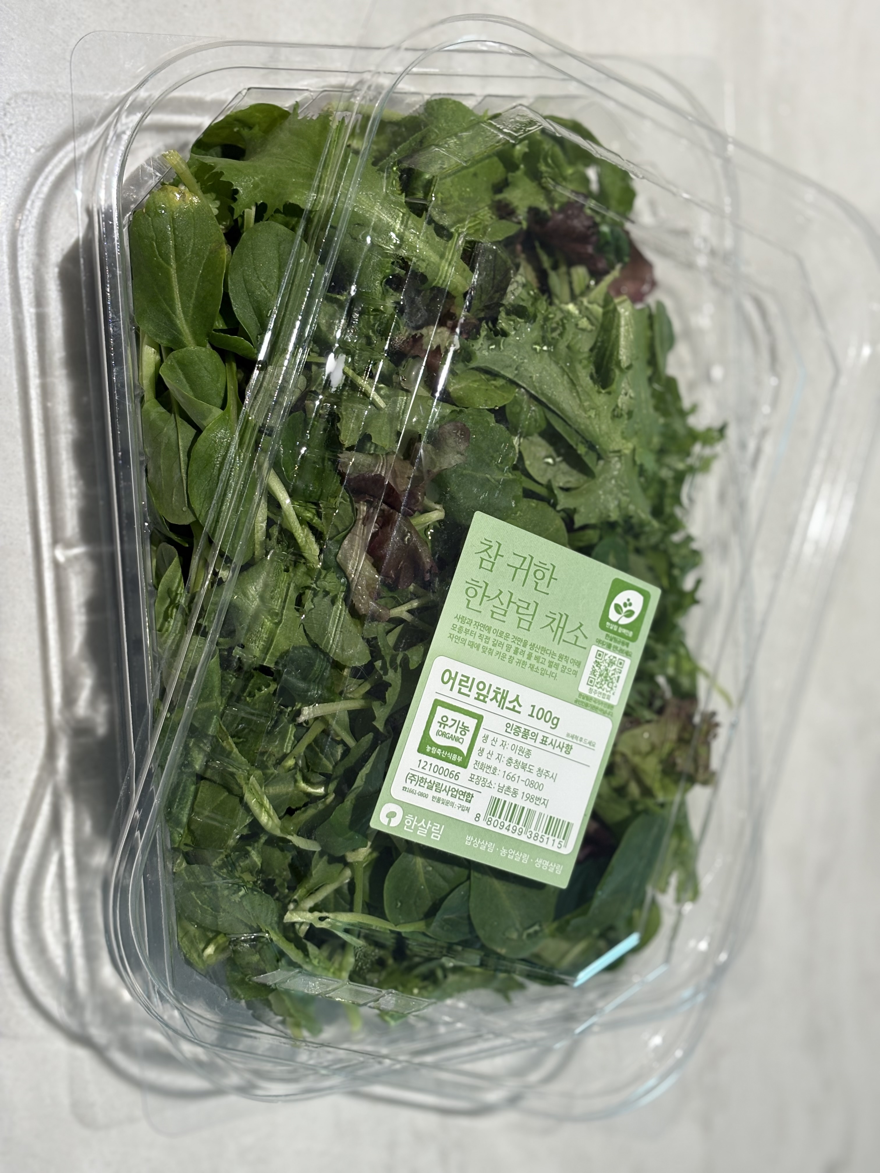 귀리 버섯 샐러드