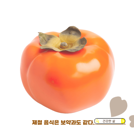 11월 제철과일