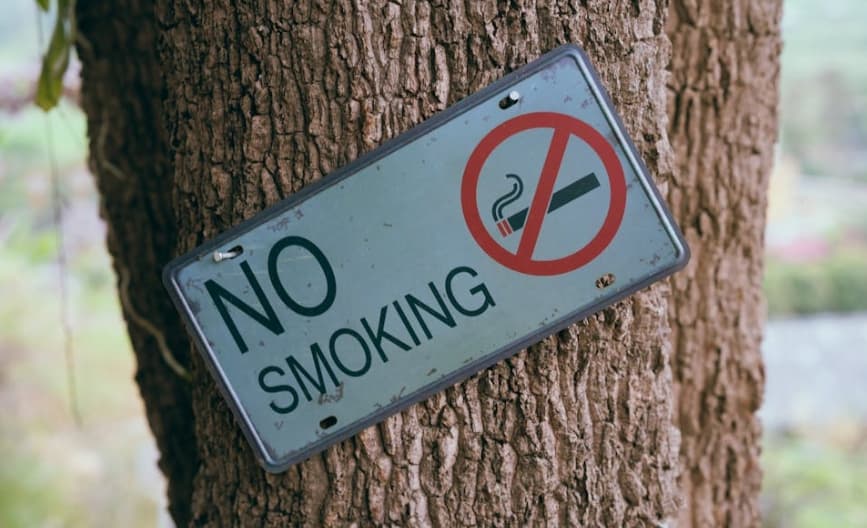 면역력과 흡연의 관계