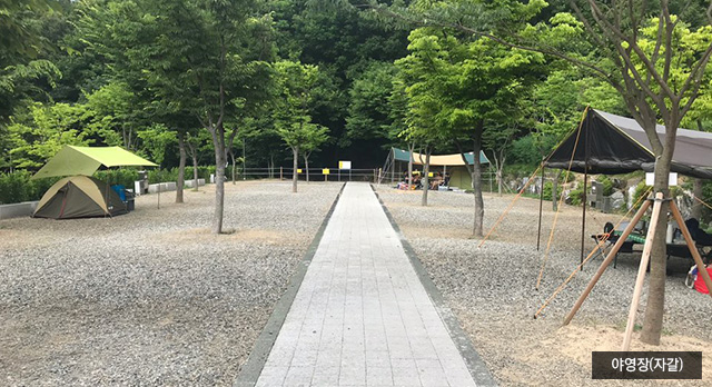 초막골생태공원캠핑장
