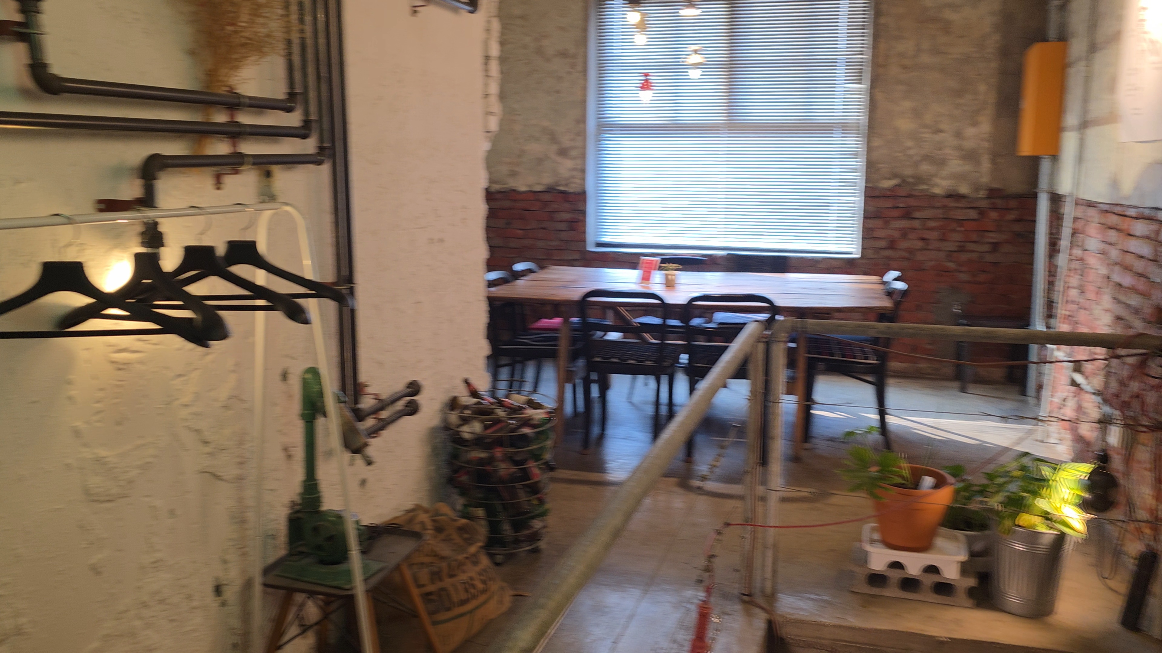 반려견과 함께한 친화적인 스페이스530 카페 방문기