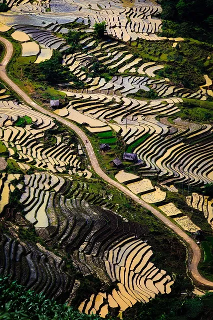 베트남 여행하기 좋은 계절까지_3