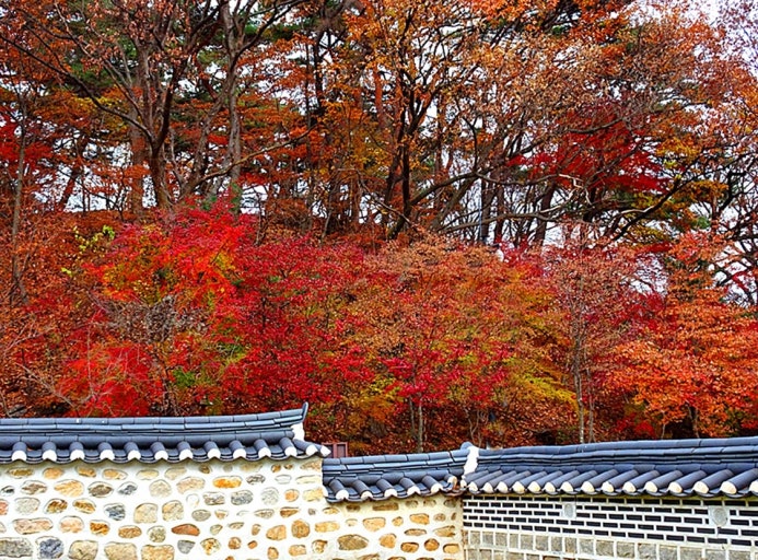 남한산성 단풍-1