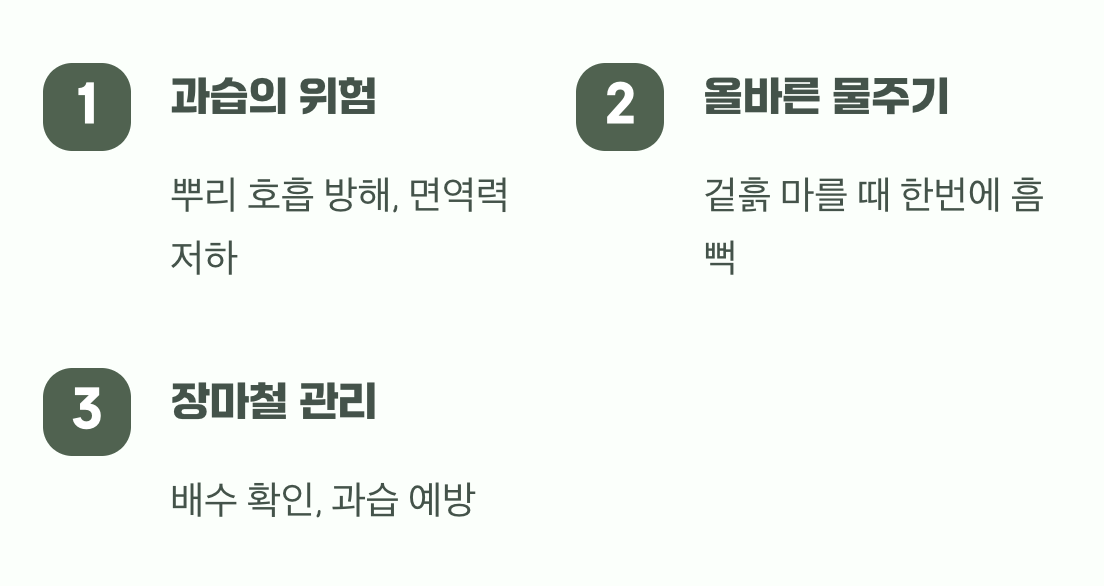 넘치는 물은 사랑이 아니라 독