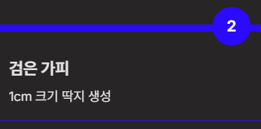 진드기 물린 후 증상과 치료방법