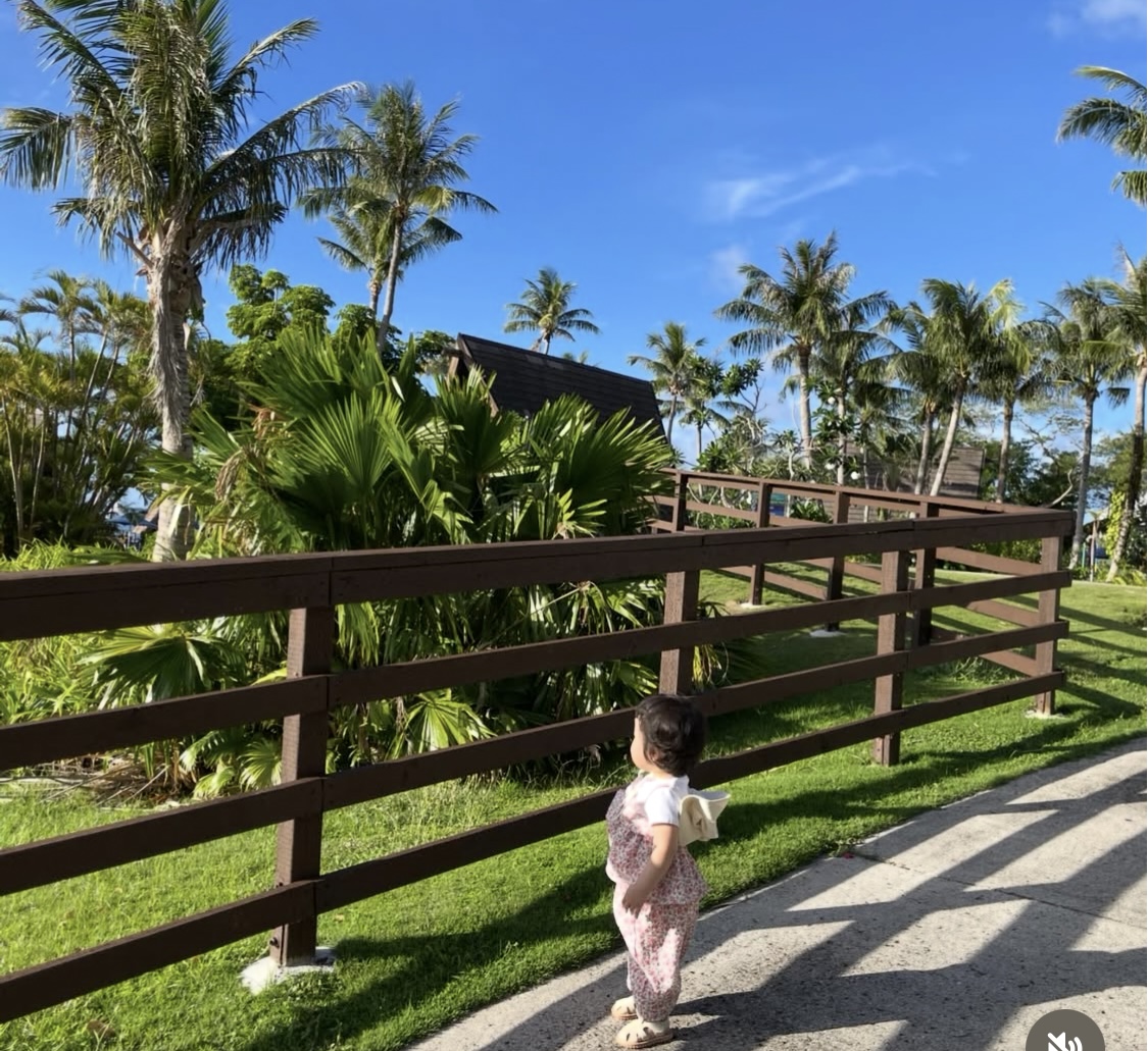 PIC리조트에서 아기가 나무를 바라보고 있는 모습 사진(출처: 본인)