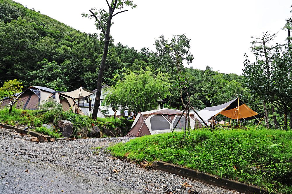 경기도 용인 자연숲 캠핑장 소개