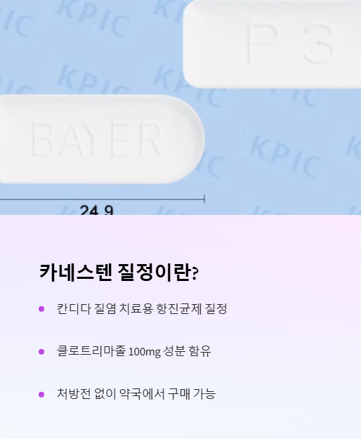 카네스텐 질정이란?