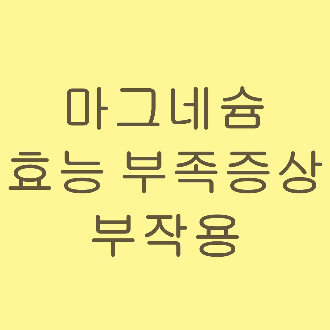 마그네슘