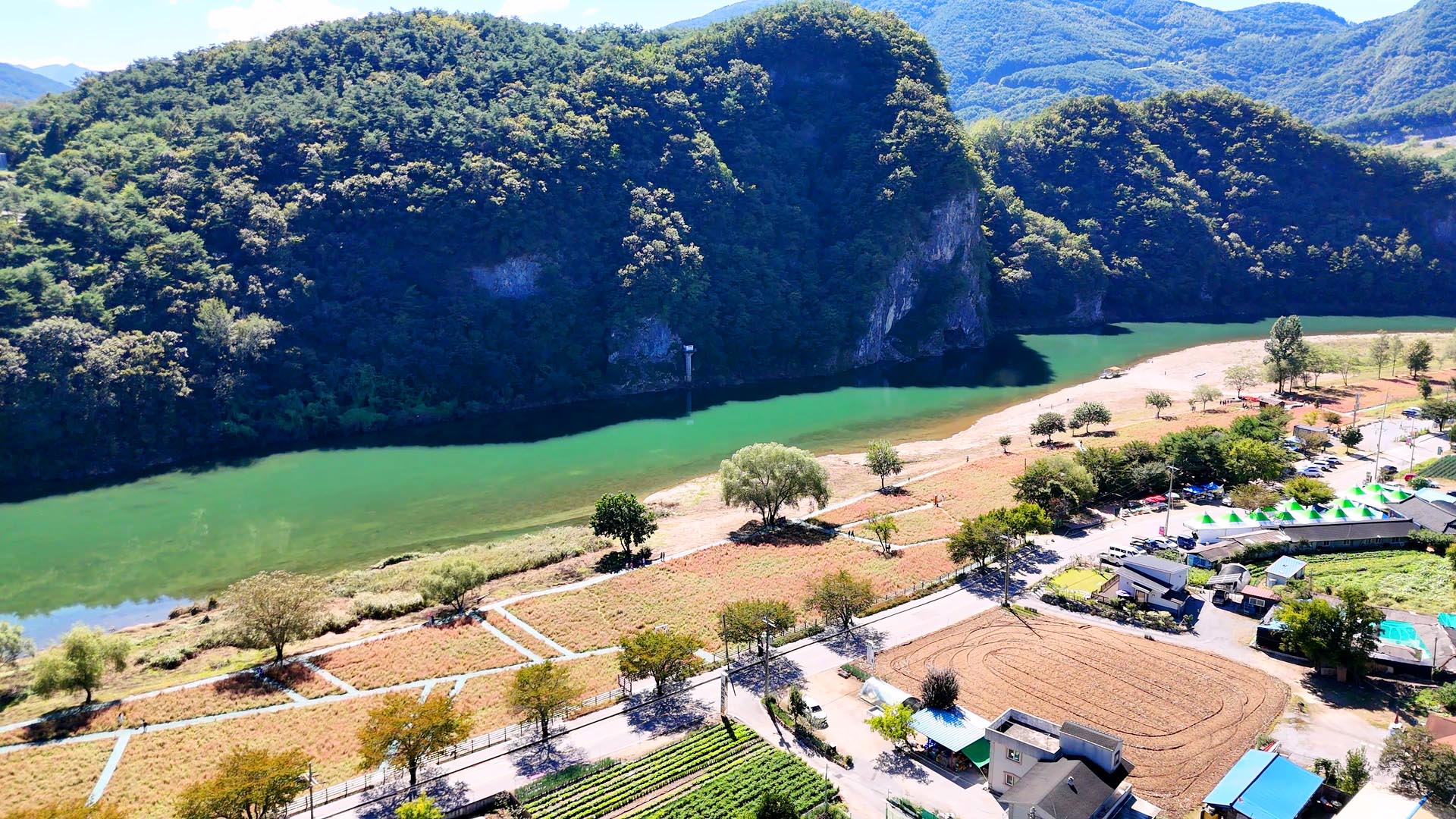 영월 동강 붉은 메밀꽃 축제 홍메밀축제