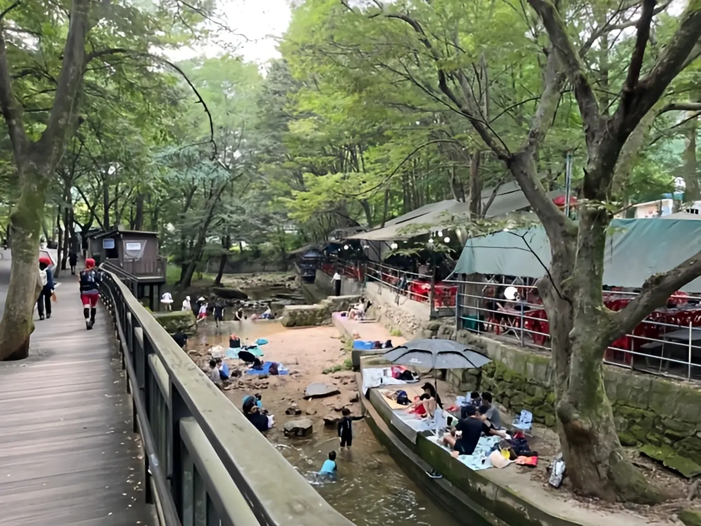 수락산 진입로 초입 '벽운계곡'