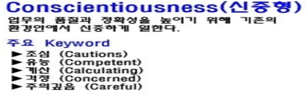 DISC 검사 안정형