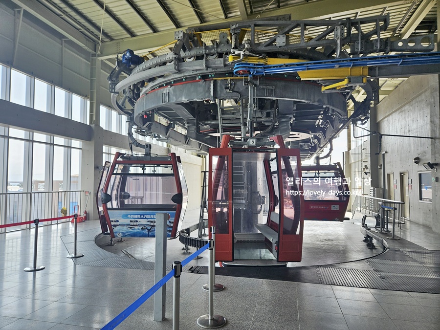 왕피천 케이블카 예약 가격 환급방법 탑승 후기 산책길 가볼만한곳