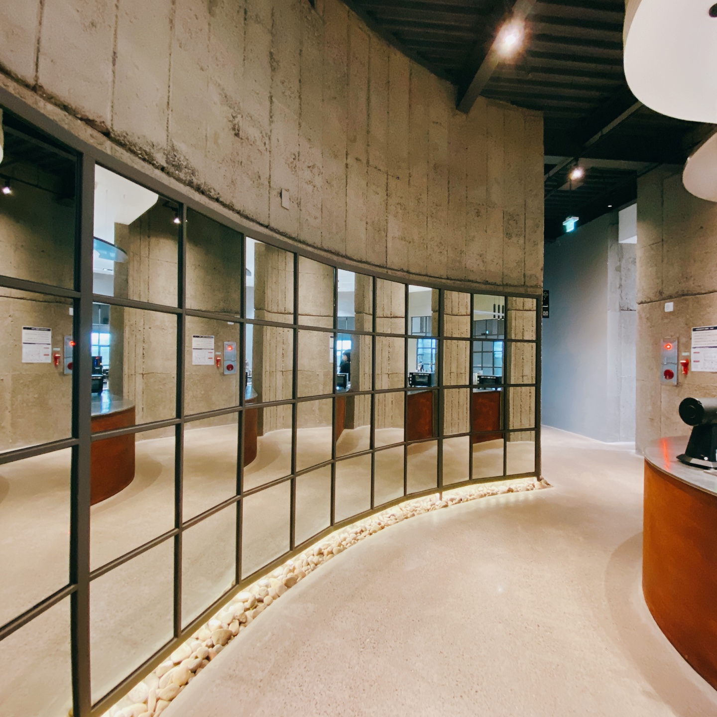 제주 신비마을 도깨비도로 벚꽃명소 레크레 카페