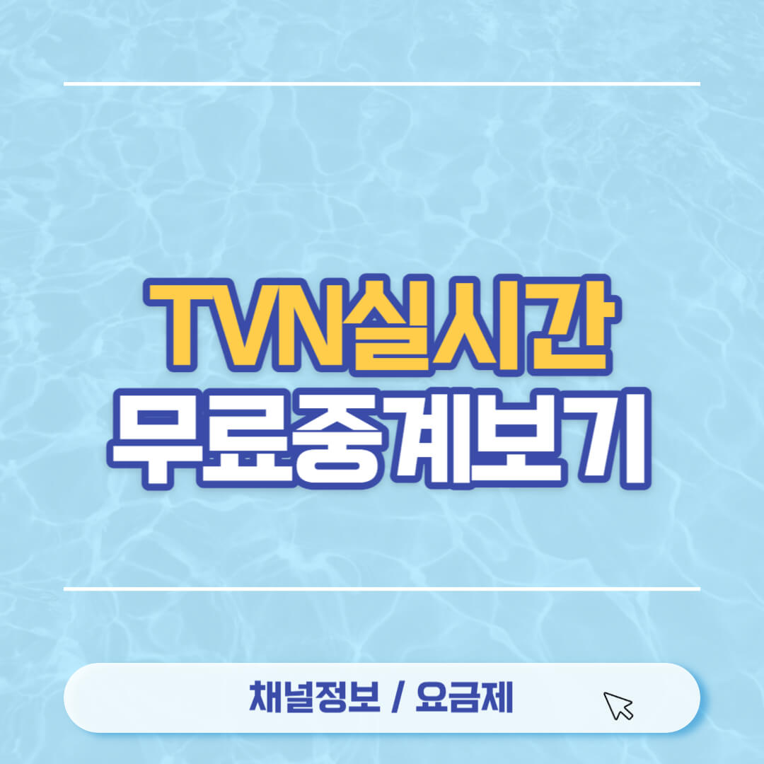 TVN스포츠 실시간