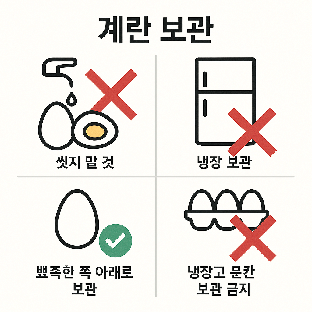 계란을 가장 신선하게, 가장 안전하게 보관하는 방법