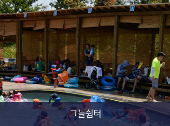 무안연꽃축제