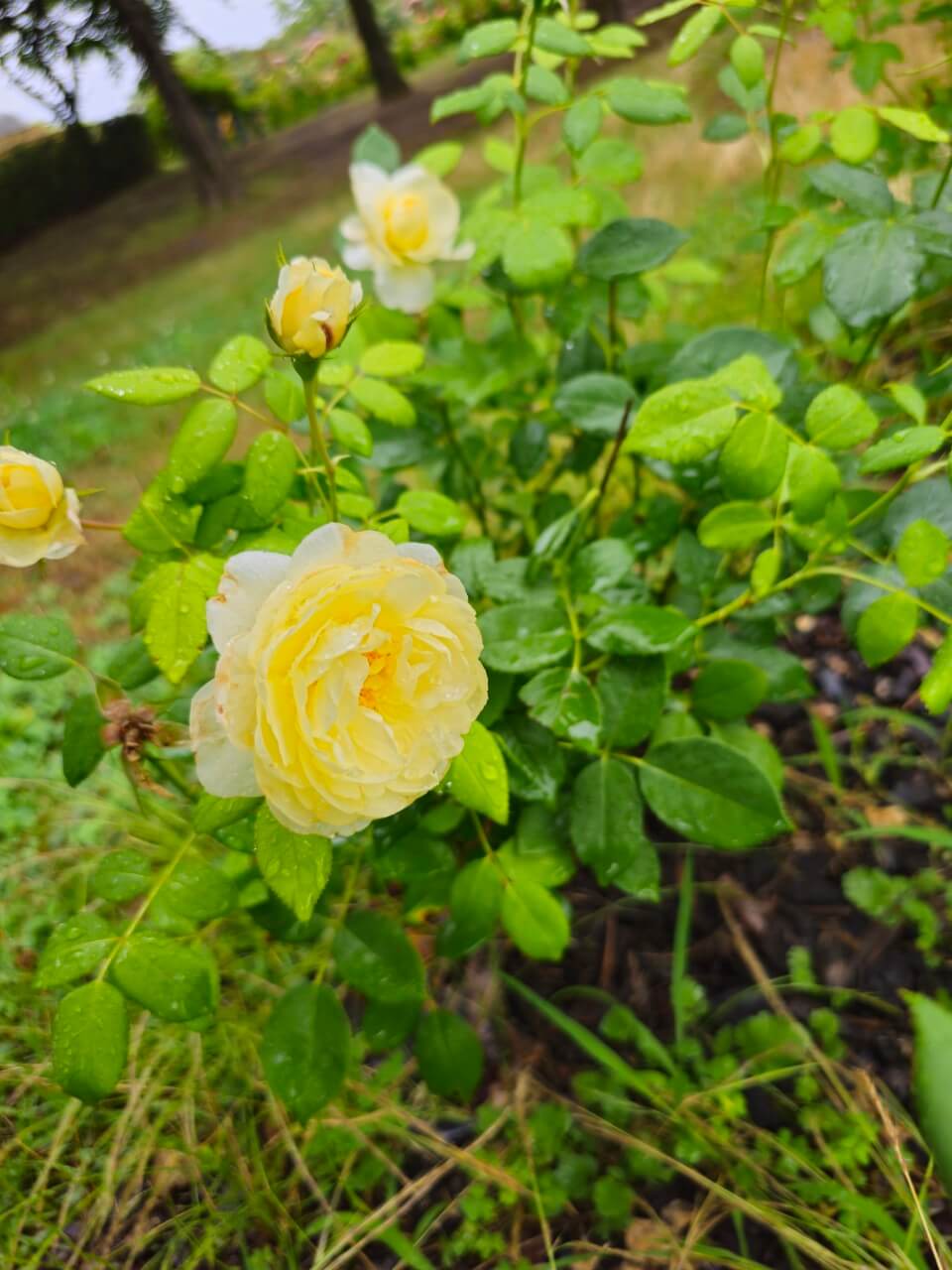 장애인 친화도시 설계 해외 사례