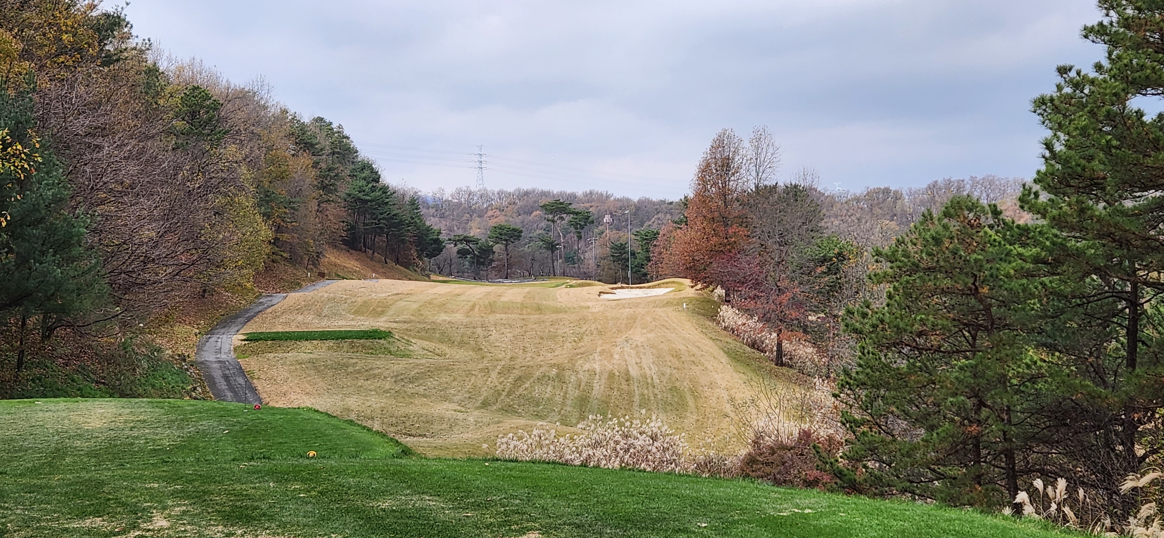 에덴블루 레이크코스