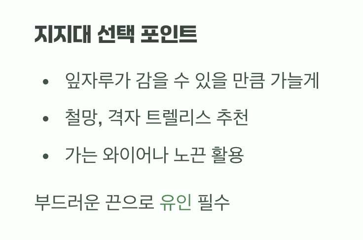 타고 오를 세상을 만들어주세요