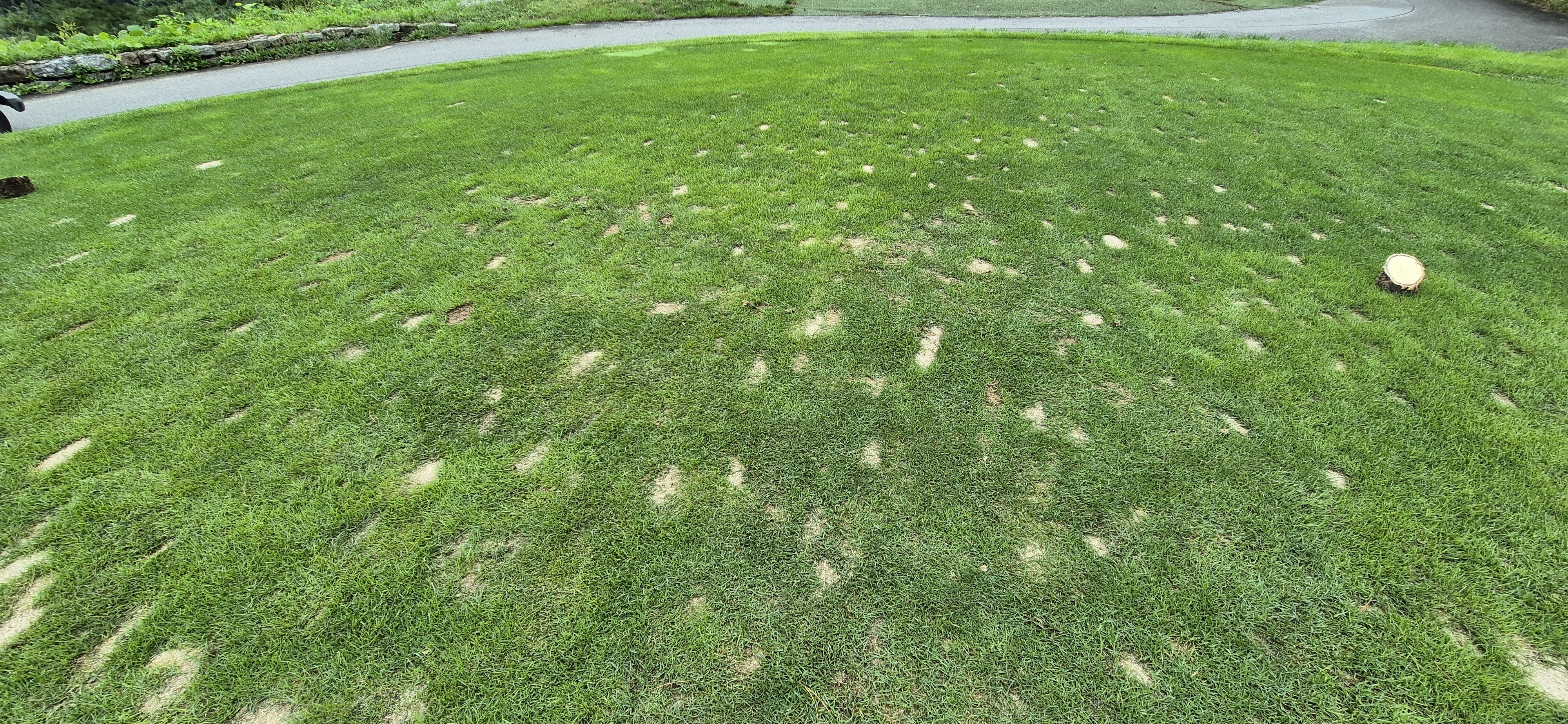 더플레이어스cc