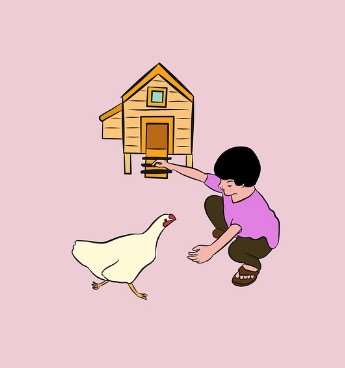 2026년 병오년 닭띠 신년운세 무료보기|무료사이트 추천 7