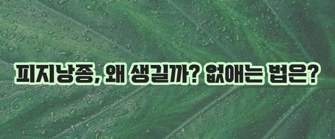 피지낭종 원인과 제거 방법 확실하게 알아봅시다!