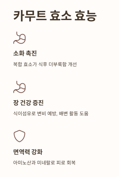 카무트 효소 효능
