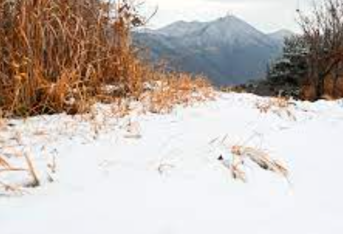 진해드림로드가 선사하는 차분한 산책의 매력