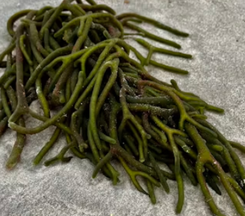 미역 효능 부작용 칼로리