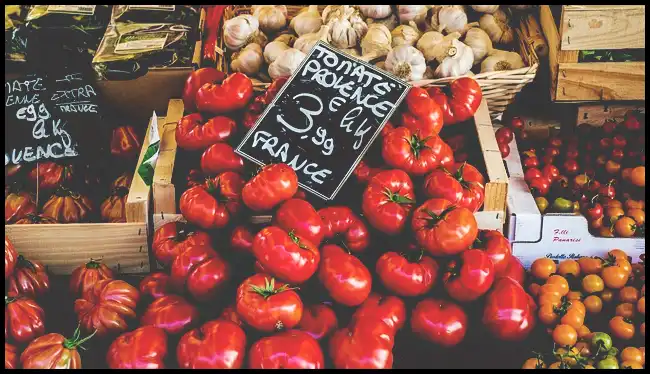 2024 ์ฝ๋ฆฌ์ ์ธ์ผ ํ์คํ ๊ธฐ๊ฐ ํ๋ชฉ ์ด์ ๋ฆฌ (์์ง ์ผ์ฑ ์ ์, ๊ธฐ์ ํ๋ ์๋์ฐจ ๋ฑ)